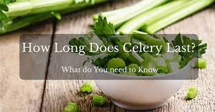 How Long Does Celery Last And Method To Freeze Celery May You Need To Know