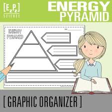 Energy Pyramid Diagram Science Graphic Organizer