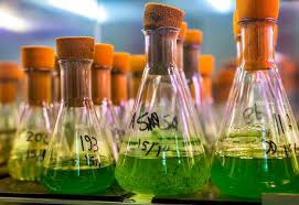 Efficient solutions to meet your specific needs and your daily care hair ; Devising The Dermo Cosmetic Care Products Of Tomorrow Pierre Fabre R D