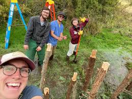 Busy as Beavers at Crow Valley Creek