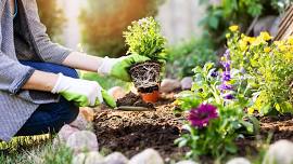 Sachem Teen Volunteers : Patio Planners