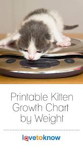 Printable Kitten Growth Chart By Weight Kitten Growth