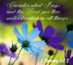 2 Timothy 2 7 Cosmos Flowers Blue Flower Wallpaper Flowers
