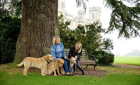 Pin On Highclere Castle