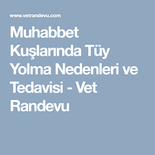 muhabbet kuslarinda tuy yolma nedenleri ve tedavisi vet randevu muhabbet kuslari kus veterinerler