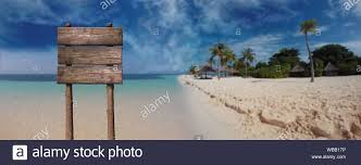 At caron's beach house, we have selected a wide variety of choices for beach art signs that can be custom tailored just for your stretch of the coast! Home Decor Plaques Signs Hello Summer Beach Tropical Pineapple Wood Hanging Sign Beer Wine Home Decor Plaques Signs