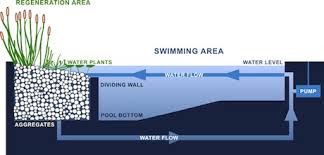 Pembuatan Kolam Renang Alami Natural Organik 089636060199