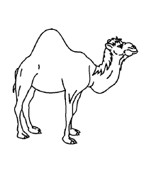 This coloring page shows a baboon. Baboon Coloring Pages Coloring Home