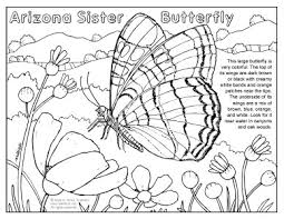 Discover thanksgiving coloring pages that include fun images of turkeys, pilgrims, and food that your kids will love to color. Sonoran Desert And Colorado Plateau Coloring Pages