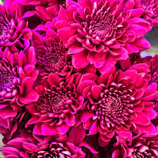 Floristería Maanda