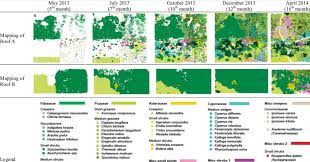 Image result for Aeschynomene micrantha