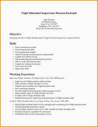 Cabin crew resume is written by people who want to serve as a cabin crew member, being the main point of contact for all the passengers traveling by an airplane. Experienced Cabin Crew Cv Premium Cabin Crew Resume Premium Flight Attendant Resume Sample Also With No Experience It Is Your Essential Affordable Resource For The Training Advice And Support You