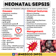 Image result for Neonatal Sepsis