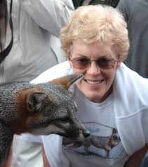 Friends of the Island Fox: Video/Audio