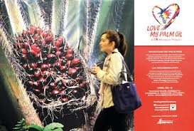 #lovemypalmoil #sayangisawitku #malaysia #palmoil campaign, much to be discovered benefits of #red #palm #oil, a #malaysian product to be proud of. Bcorp To Promote More Palm Oil And Other Local Commodities