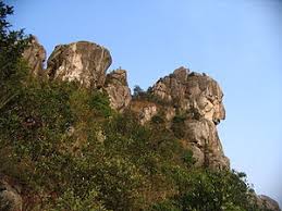 The site owner hides the web page description. Lion Rock Zxc Wiki