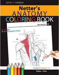 Download Netter S Anatomy Coloring Book John T Hansen 9781416047025
