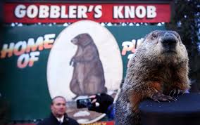 Simple or tricky, these questions about animals for … Groundhog Day Movie Facts You Didn T Know