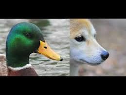 Things That Cannot Be Unseen Youtube