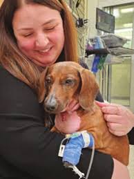 Best Friends Magazine