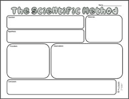 38 Logical Scientific Method Chart Blank