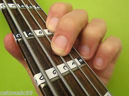 5 String Bass Guitar Fretboard Note Labels Learn Fret
