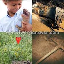 Please feel free to send us a comment below, if you have any suggestion about any other daily puzzle game. 4 Pics 1 Word Daily Puzzle July 19 2018 Answer 4 Pics 1 Word Daily Puzzle Answers
