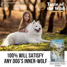 Totw Ancient Grains Salmon In 2020 Ancient Grains Samoyed Salmon