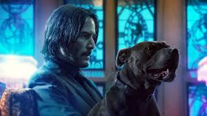 John Wick 3 Wallpaper Hd Keanu Reeves John Wick Movie John Wick