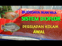 Budidaya Ikan Nila Sistem Bioflok Part 1 Persiapan Kolam Awal Youtube Di 2020 Ikan Kolam Ikan