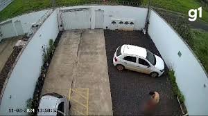 Padrasto é preso após obrigar enteado de 8 anos a comer mato e brita