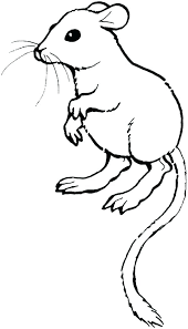 40+ rat coloring pages for printing and coloring. Lab Rats Coloring Pages Coloring Home