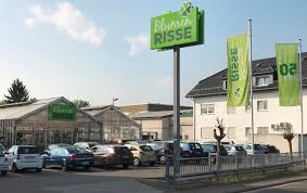 Adolf würth angebote kelsterbach loirestr. Raunheim Blumenmarkt Raunheim Blumenmarkt Standorte Blumen Risse