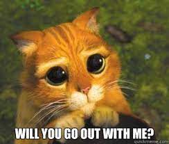 Will You Go Out With Me Puss In Boots Quickmeme