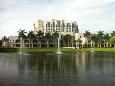 I quadri in vendita della pittrice contemporanea tondelaya della ventimiglia. Tondelaya Della Ventimiglia Stuntmwach Profile Pinterest