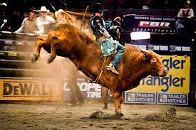 You can also upload and share your favorite pbr wallpapers. 50 Free Pbr Wallpaper On Wallpapersafari