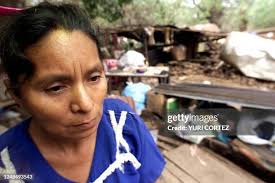 101 Majano Stock Photos, High-Res Pictures, and Images