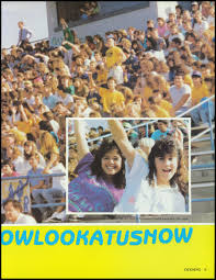 Image result for White 1990 Land O Lakes