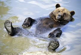 Image result for taking it easy