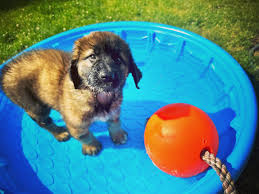 Kathy N Deets (@kathydeets) • Instagram photos and videos