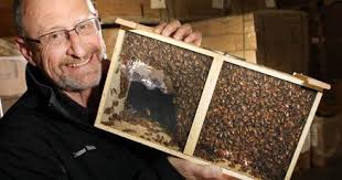 Dordt professor keeps up with buzz in beekeeping