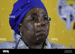 Dlamini zuma hi-res stock photography and images