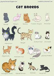 188430835daa63a3e2eea43bbeb7ed1f Jpg 736 1040 Kucing Gambar Stiker