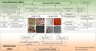 ◗ loss of time, money, and effort. Soil Amendments For Immobilization Of Potentially Toxic Elements In Contaminated Soils A Critical Review Sciencedirect