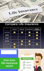 Compare Cheap Life Insurance Quotes Insurance Insurancecost Lifeinsurance Insurancerevie Life Insurance Quotes Insurance Quotes Life Insurance For Seniors