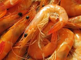 You can use this swimming information to make your own swimming trivia questions. Where Do You Think Shrimp S Heart Is Trivia Questions Quizzclub