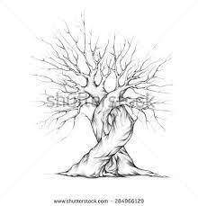 Pin On Family Tree Wall