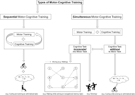 Image result for training effect schema