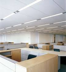 Acoustics Acoustical Ceiling Ceiling System House