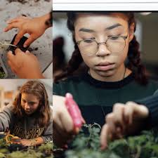 Denver Green School Northfield